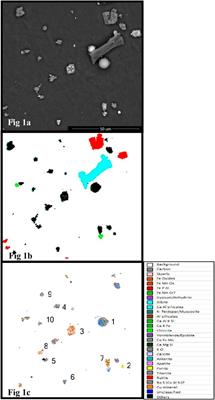 QEMSCAN® automated mineralogical analysis of PM2.5 and PM4: A preliminary study of underground coal mine dust from Poland and Slovenia